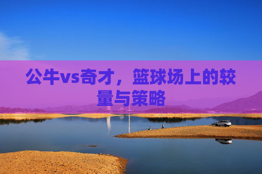 公牛vs奇才,篮球场上的较量与策略 公牛vs奇才,篮球场上的较量与策略