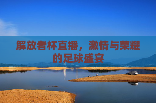 解放者杯直播，激情与荣耀的足球盛宴