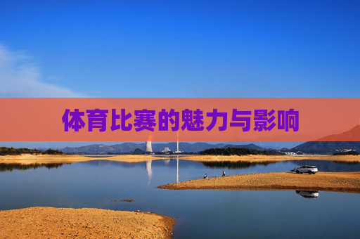 体育比赛的魅力与影响