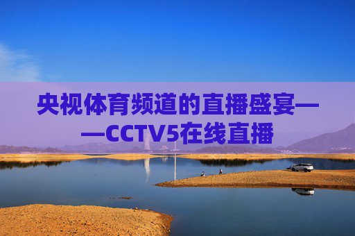 央视体育频道的直播盛宴——CCTV5在线直播