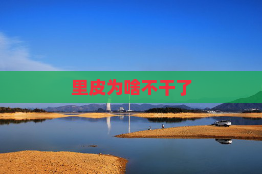 里皮为啥不干了