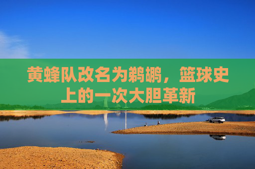 黄蜂队改名为鹈鹕，篮球史上的一次大胆革新
