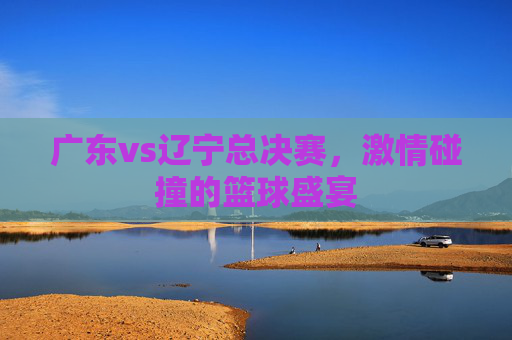广东vs辽宁总决赛，激情碰撞的篮球盛宴