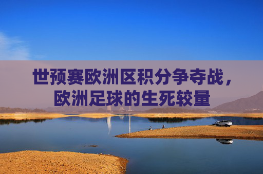 世预赛欧洲区积分争夺战，欧洲足球的生死较量
