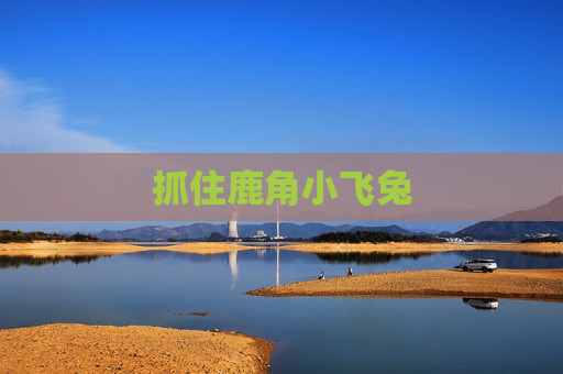 抓住鹿角小飞兔