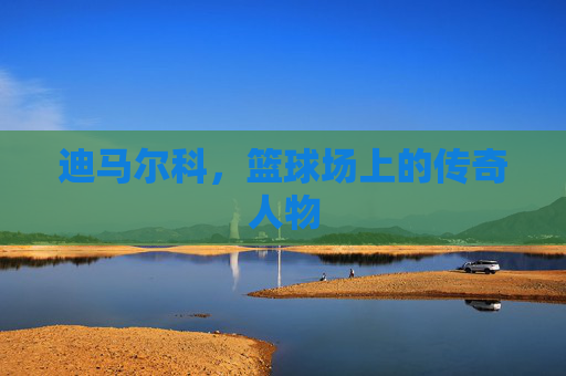 迪马尔科，篮球场上的传奇人物
