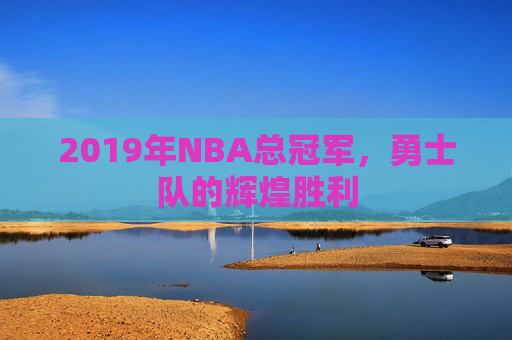 2019年NBA总冠军，勇士队的辉煌胜利