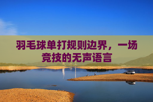 羽毛球单打规则边界,一场竞技的无声语言 羽毛球单打规则边界,一场竞技的无声语言