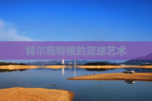 特尔施特根的足球艺术