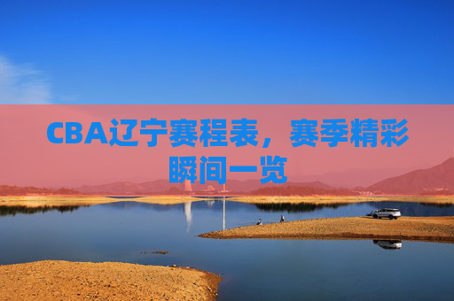 CBA辽宁赛程表，赛季精彩瞬间一览