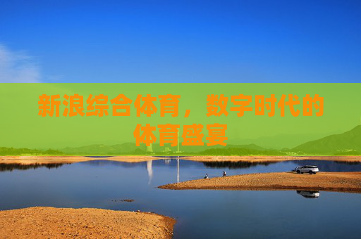 新浪综合体育，数字时代的体育盛宴