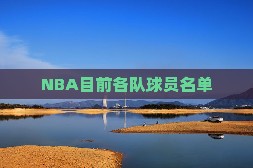 NBA目前各队球员名单