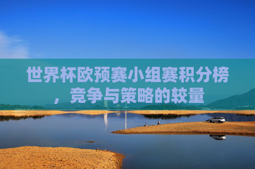 世界杯欧预赛小组赛积分榜，竞争与策略的较量