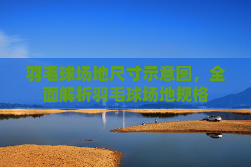 羽毛球场地尺寸示意图,全面解析羽毛球场地规格 羽毛球场地尺寸示意图,全面解析羽毛球场地规格