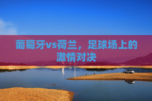 葡萄牙vs荷兰，足球场上的激情对决