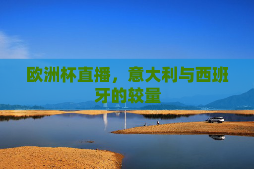 欧洲杯直播，意大利与西班牙的较量