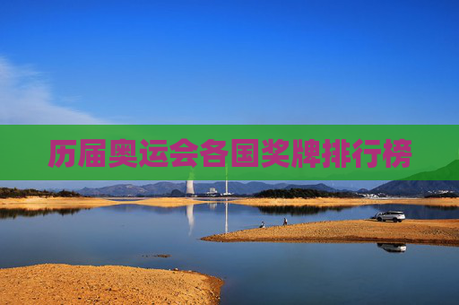 历届奥运会各国奖牌排行榜