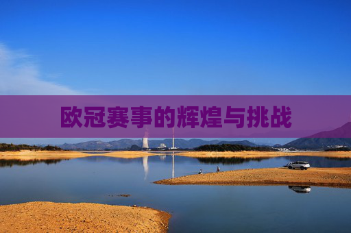 欧冠赛事的辉煌与挑战