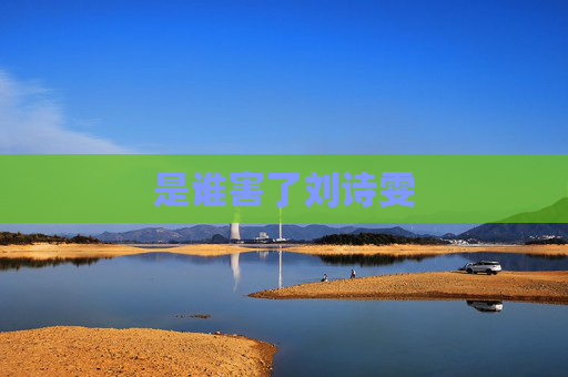 是谁害了刘诗雯