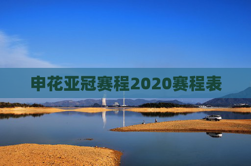 申花亚冠赛程2020赛程表