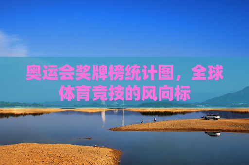 奥运会奖牌榜统计图，全球体育竞技的风向标