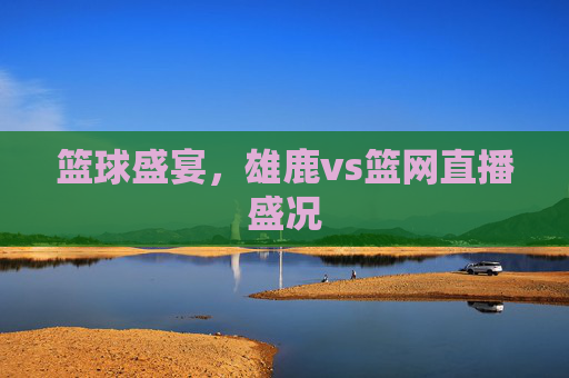 篮球盛宴，雄鹿vs篮网直播盛况