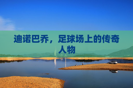 迪诺巴乔，足球场上的传奇人物