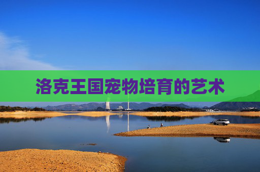 洛克王国宠物培育的艺术