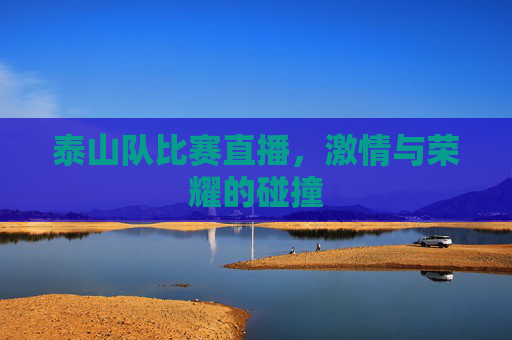泰山队比赛直播，激情与荣耀的碰撞