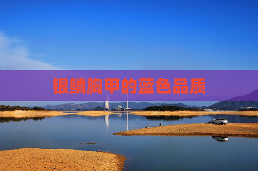 银鳞胸甲的蓝色品质