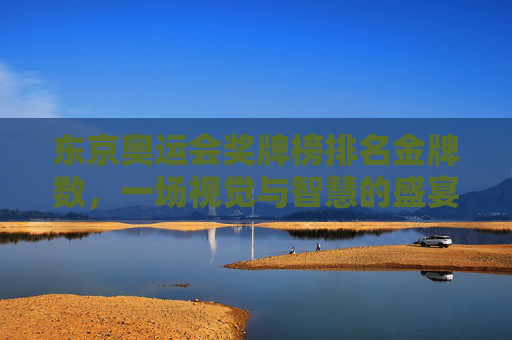 东京奥运会奖牌榜排名金牌数，一场视觉与智慧的盛宴