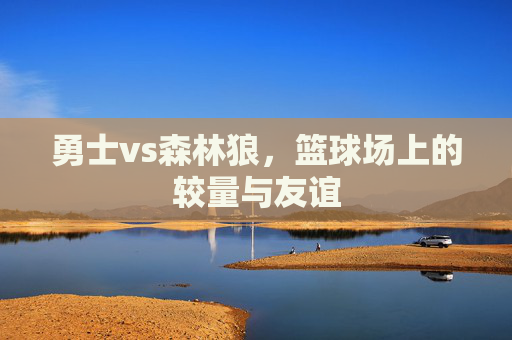 勇士vs森林狼，篮球场上的较量与友谊