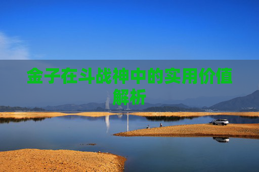 金子在斗战神中的实用价值解析