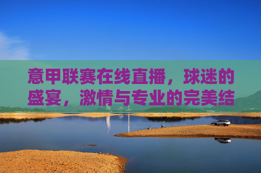 意甲联赛在线直播，球迷的盛宴，激情与专业的完美结合
