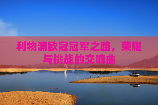 利物浦欧冠冠军之路，荣耀与挑战的交响曲