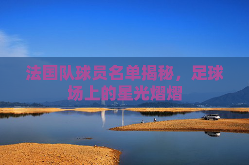 法国队球员名单揭秘,足球场上的星光熠熠 法国队球员名单揭秘,足球场上的星光熠熠