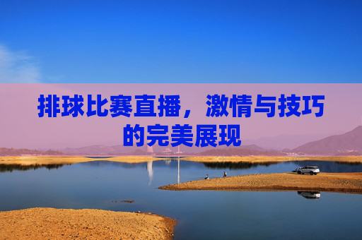 排球比赛直播，激情与技巧的完美展现