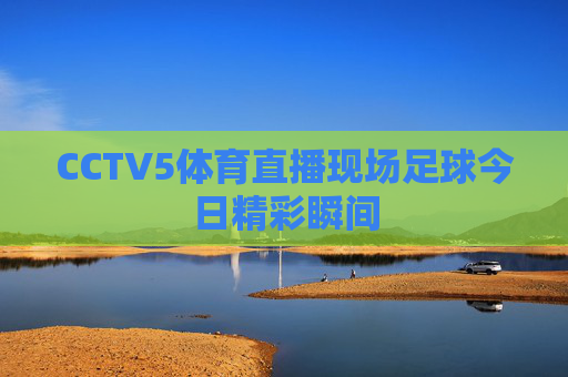 CCTV5体育直播现场足球今日精彩瞬间