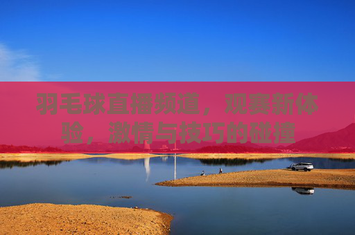 羽毛球直播频道，观赛新体验，激情与技巧的碰撞
