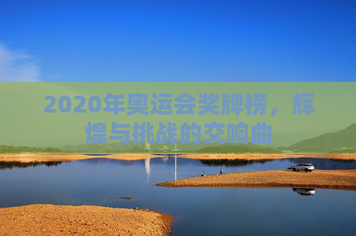 2020年奥运会奖牌榜，辉煌与挑战的交响曲