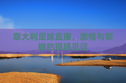 意大利足球直播，激情与荣耀的现场见证