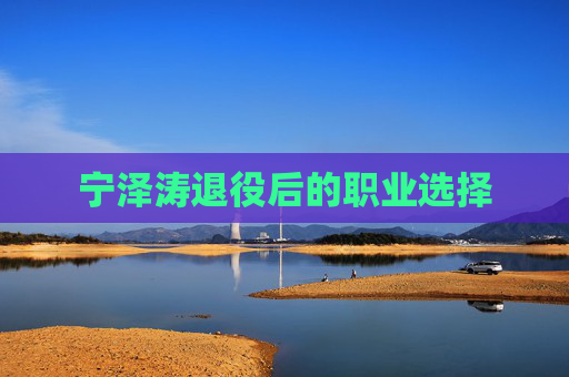 宁泽涛退役后的职业选择