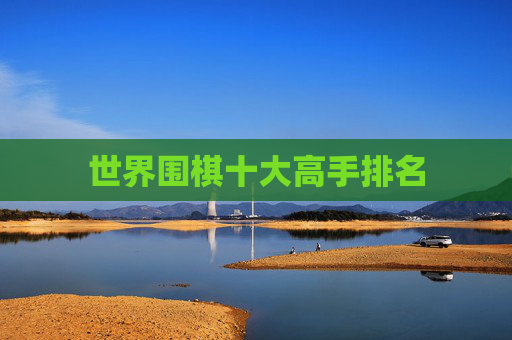世界围棋十大高手排名