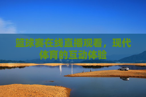 篮球赛在线直播观看，现代体育的互动体验