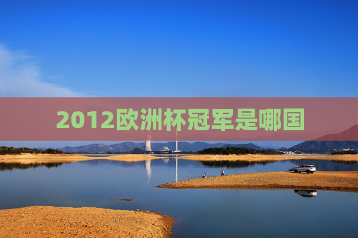 2012欧洲杯冠军是哪国
