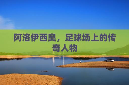 阿洛伊西奥，足球场上的传奇人物
