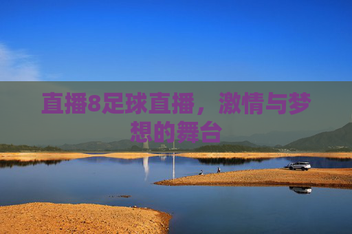 直播8足球直播，激情与梦想的舞台
