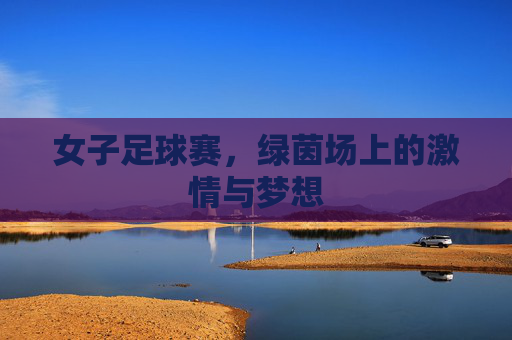 女子足球赛，绿茵场上的激情与梦想
