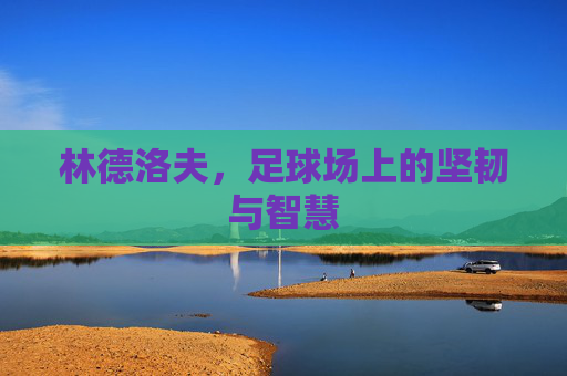 林德洛夫，足球场上的坚韧与智慧