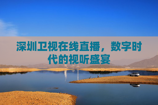 深圳卫视在线直播，数字时代的视听盛宴